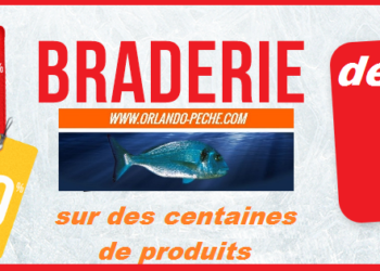 Quel magasin fait du 4 fois sans frais ?