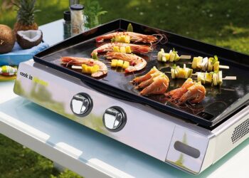 Quel métal pour faire une plancha ?