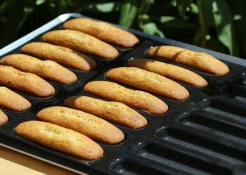 Quel moule choisir pour Madeleine ?