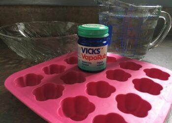 Quel moule choisir pour la santé ?