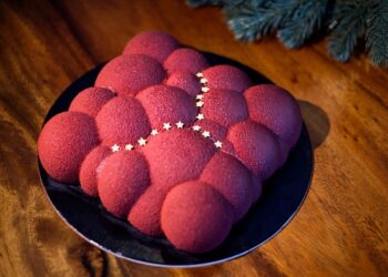 Quel moule pour entremet ?