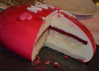 Quel moule pour insert entremet ?