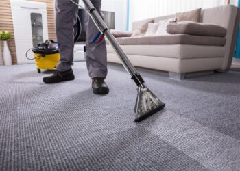 Quel nettoyeur vapeur pour la moquette ?