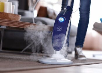 Quel nettoyeur vapeur pour nettoyer un tapis ?