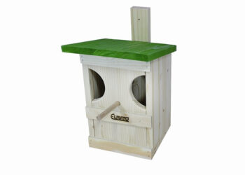 Quel nichoir pour bergeronnette ?