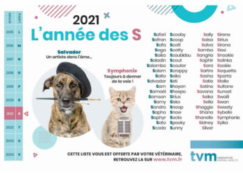 Quel nom pour un chien en 2021 ?