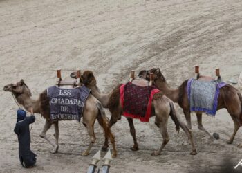 Quel pays commence par U ?