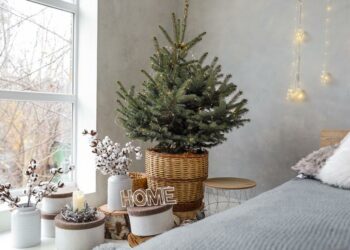 Quel pied pour sapin de Noël ?