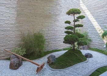 Quel plante pour créer un jardin zen ?