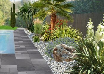 Quel planter au bord de la terrasse ?