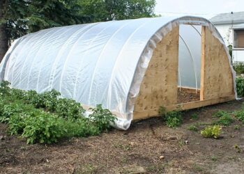 Quel plastique pour couvrir une serre ?