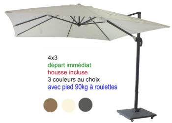 Quel poids pour parasol déporté 4x3 ?