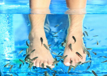 Quel poisson fish Spa ?