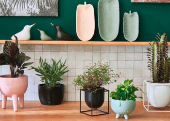Quel pot choisir pour plante d'intérieur ?