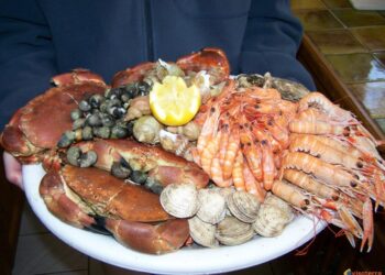 Quel prix pour un plateau de fruits de mer ?