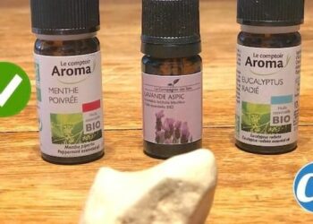 Quel produit naturel contre les mites ?