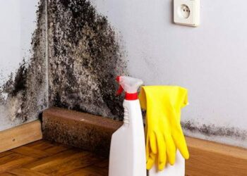 Quel produit naturel contre les moisissures ?