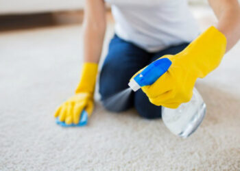Quel produit pour nettoyer un tapis à sec ?