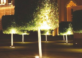 Quel projecteur pour éclairer un arbre ?