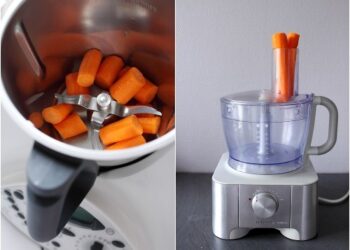 Quel robot pour faire des carottes râpées ?