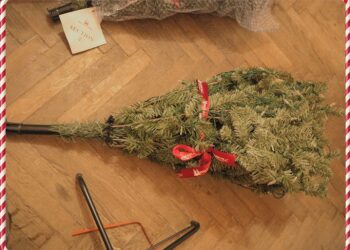 Quel sapin Balsam Hill choisir ?