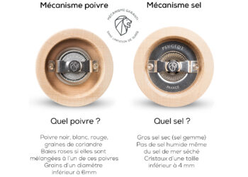 Quel sel mettre dans le moulin Peugeot ?