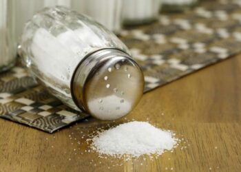 Quel sel pour la purification ?