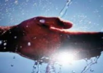 Quel sel pour purifier ?