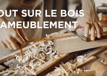 Quel site d'ameublement ?