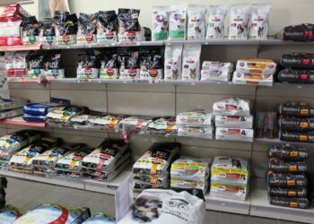 Quel site pour acheter des croquettes ?