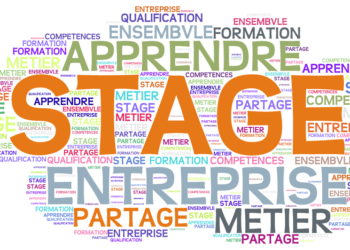 Quel stage pour un élève de 3eme ?