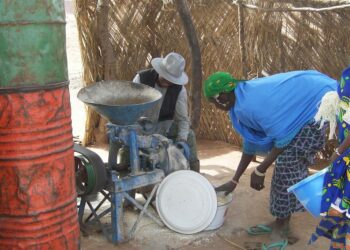 Quel type de sel pour moulin ?