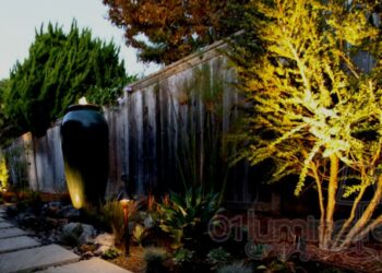 Quel type d'éclairage pour arbre ?