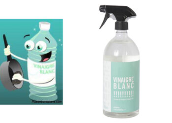 Quel type vinaigre pour le ménage ?