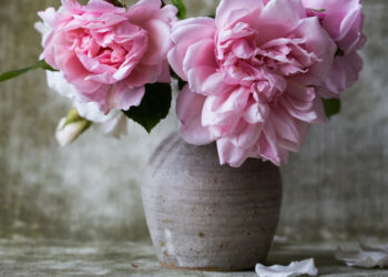 Quel vase pour fleur pampa ?