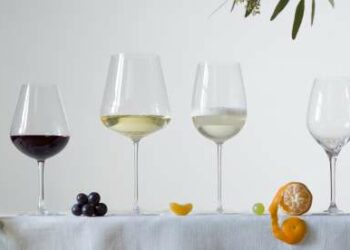 Quel verre pour boire du vin ?