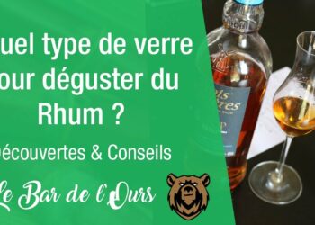 Quel verre pour du rhum ?