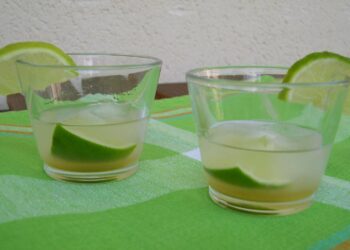 Quel verre pour un Ti-punch ?