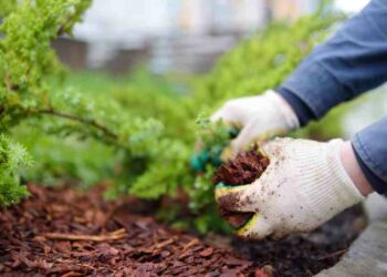 Quelle Epaisseur paillage ardoise ?