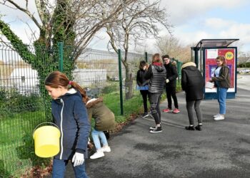 Quelle association pour l'environnement ?