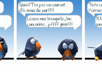Quelle bonne nouvelle ou qu'elle bonne nouvelle ?
