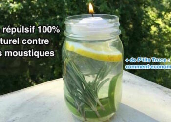 Quelle bougie contre les moustiques ?