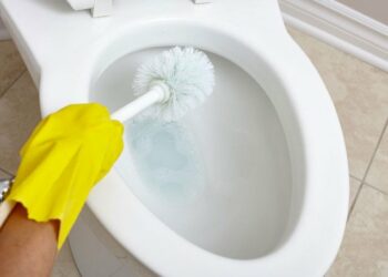 Quelle brosse pour nettoyer les toilettes ?