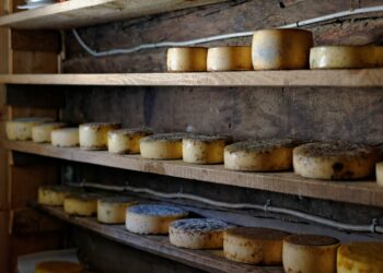 Quelle cave pour affiner le fromage ?