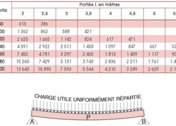 Quelle charge peut supporter un IPN ?