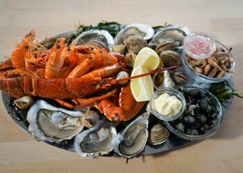 Quelle composition pour un plateau de fruits de mer ?