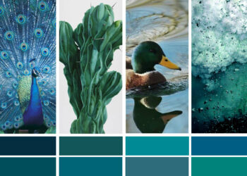 Quelle couleur avec le bleu paon ?