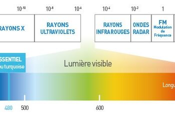 Quelle couleur n'existe pas ?