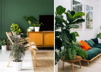 Quelle couleur va avec le vert forêt ?