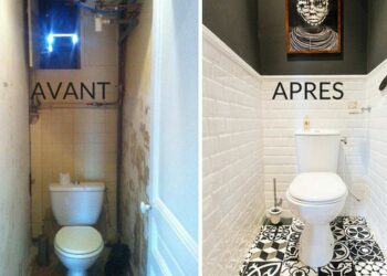 Quelle déco dans un WC ?